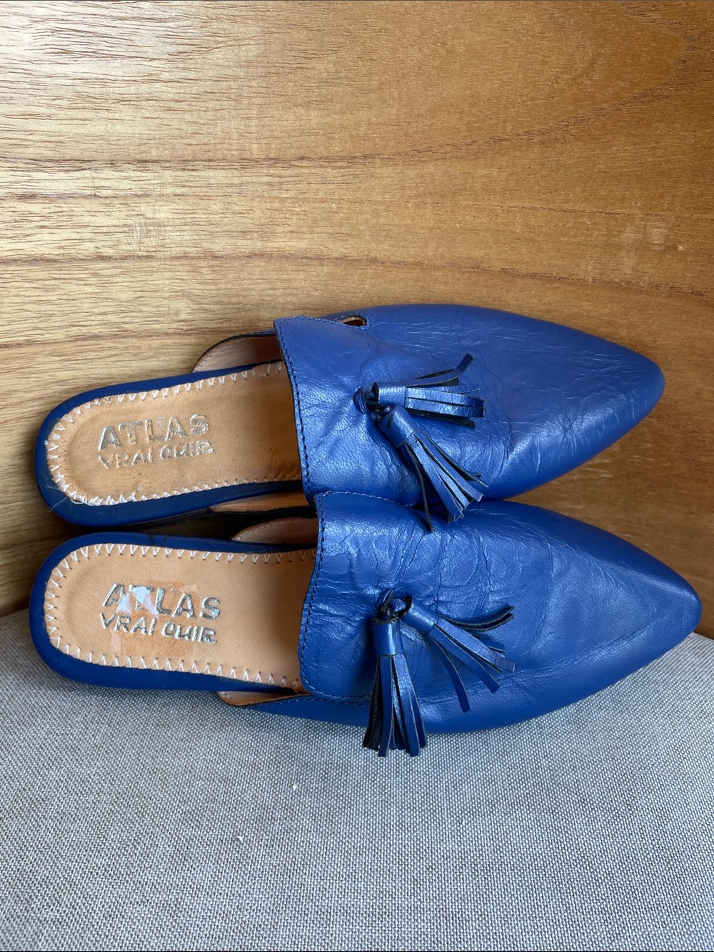 Atlas Leather Mule Loafers Blue Pointed Toe